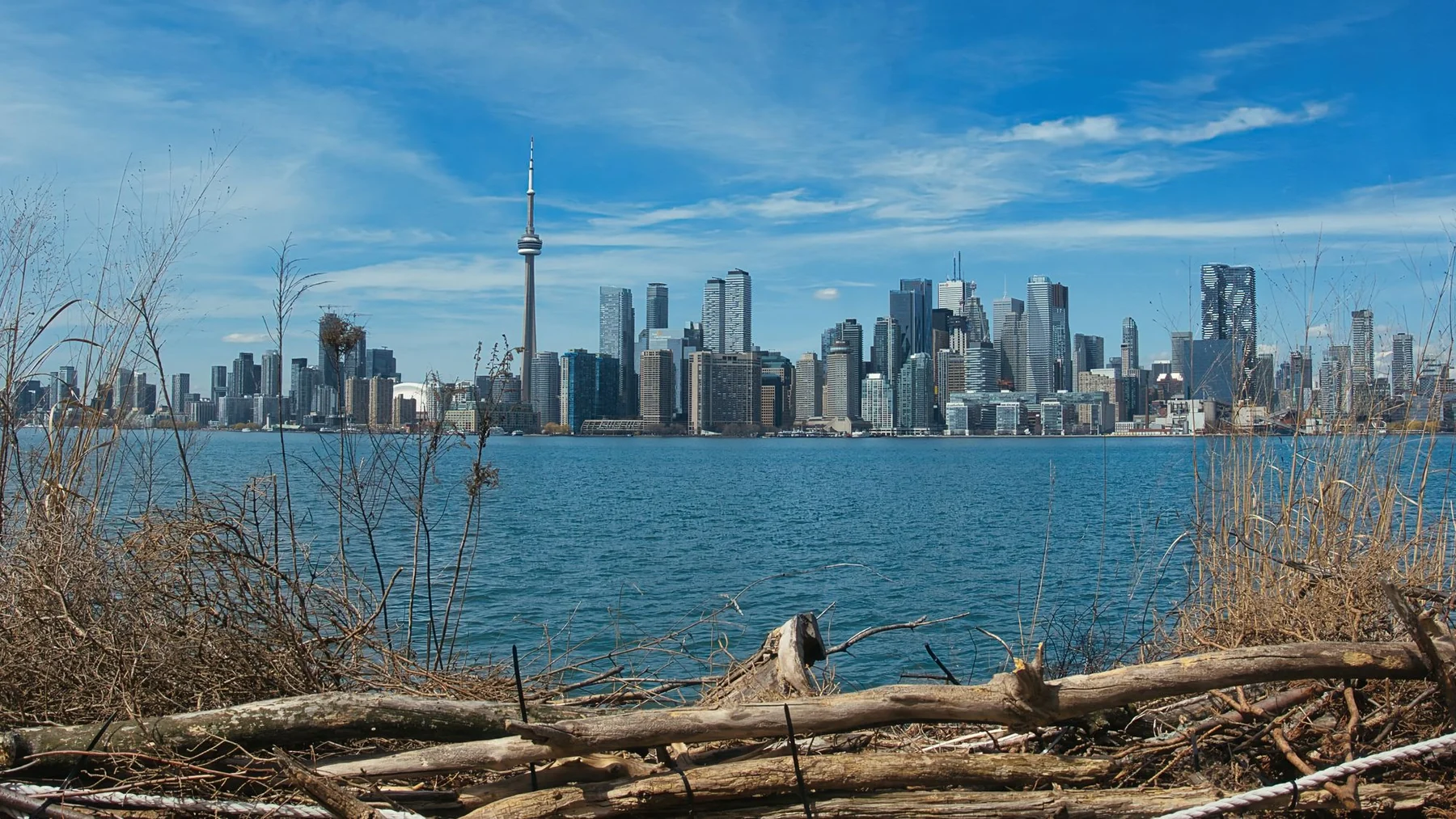 Stunning view of the Toronto skyline with the iconic CN Tower across the water on a clear day.