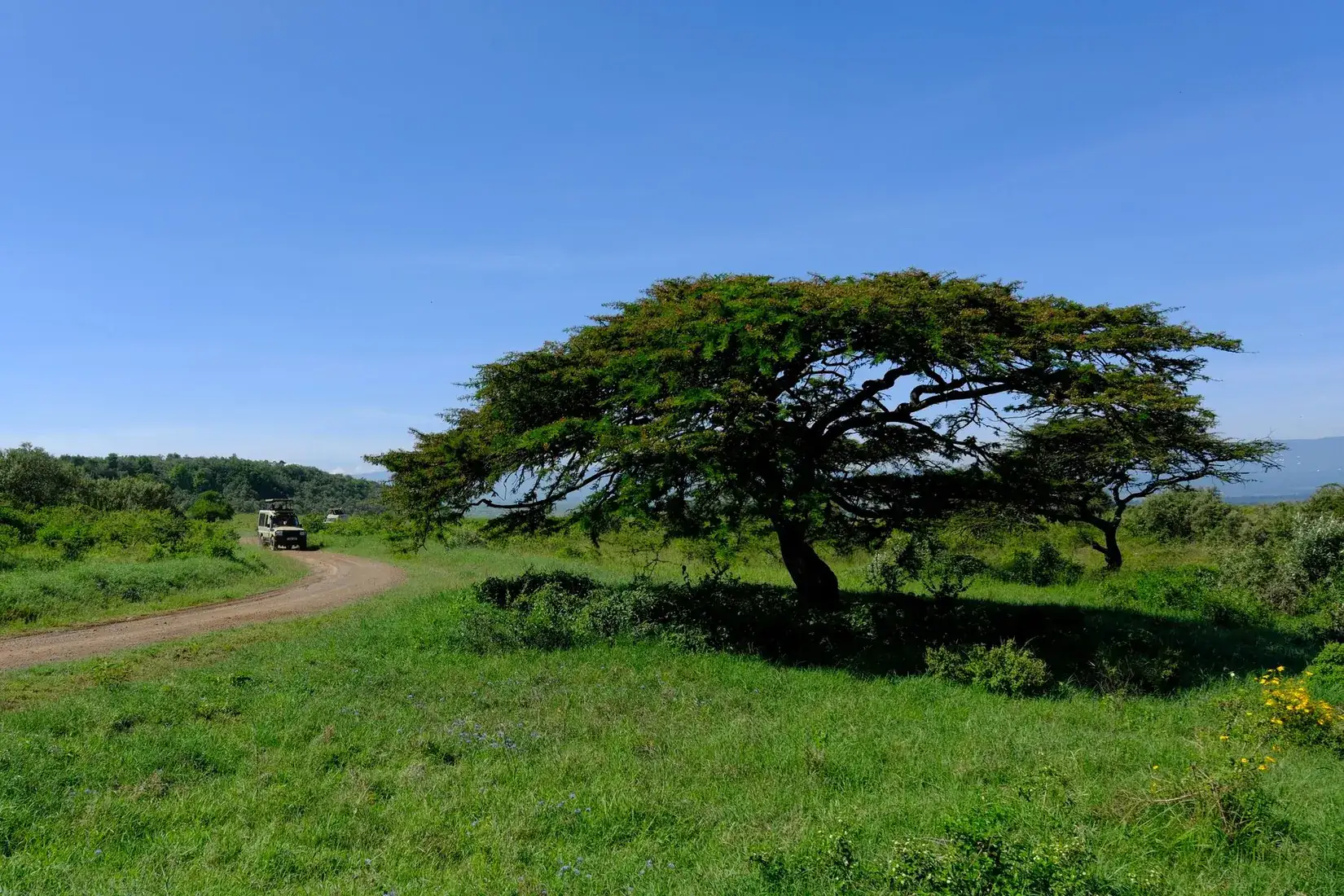 Landscape in Kenya